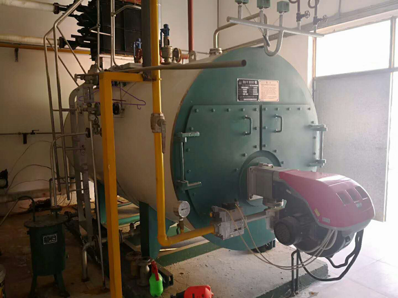 天津合治藥業4噸燃氣蒸氣